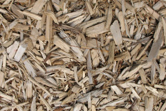 biomass boilers Pentre Llifior